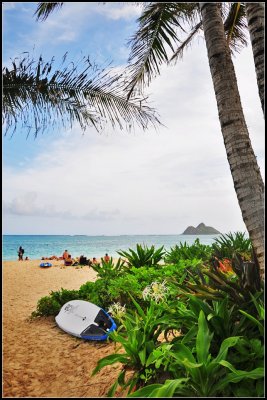 DSC_9293_1.jpg