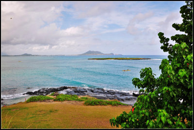 DSC_9302_1.jpg