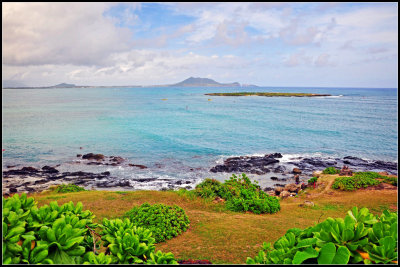 DSC_9306_1.jpg