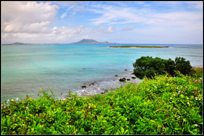 DSC_9311_1.jpg