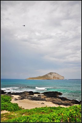 DSC_9353_1.jpg