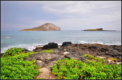DSC_9358_1.jpg