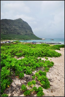 DSC_9366_1.jpg