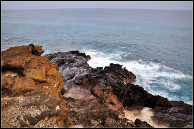 DSC_9394_1.jpg