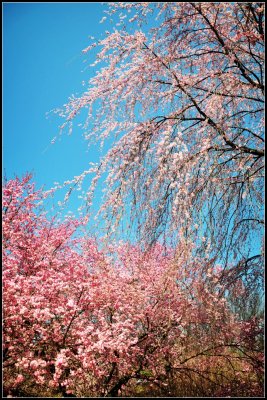 DSC_1507_1.jpg