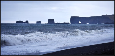 DSC_0447_1.jpg