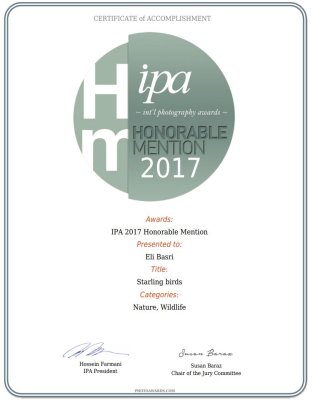 ipa 2017 - Honorable mention -Starling