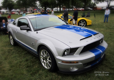 2008 SHELBY