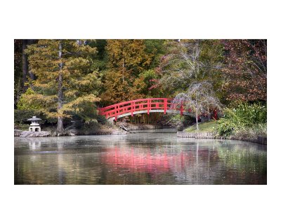 durham_nc_thanksgiving_2016