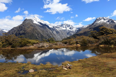 New Zealand 2017