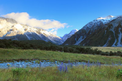 NZ_2017_0056.JPG