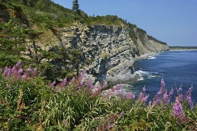NEW2_DSC6327_Parc_Forillon_Gaspe_Gaspesie_Quebec_P_Brunet.jpg