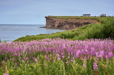 NEW2_DSC6043_Mood_sur_Perce_Gaspesie_Qc_P_Brunet.jpg