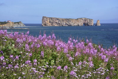 NEW2_DSC7026_Perce_Gaspesie_Quebec_Can_P_Brunet.jpg