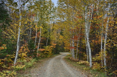 NEW2_DSC8644_Ste-Beatrix_Lanaudiere_Quebec_P_Brunet.jpg