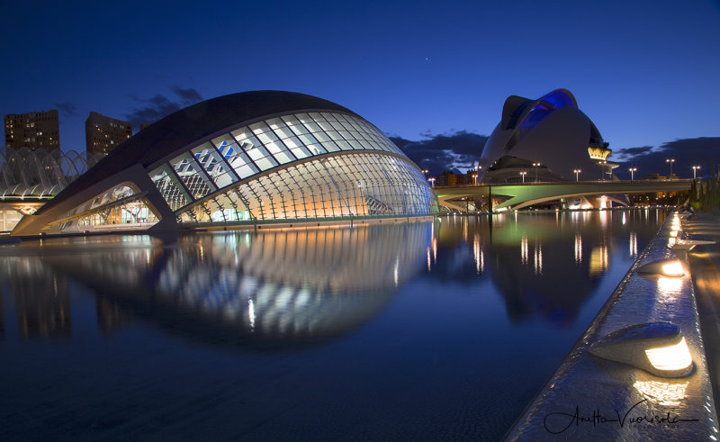 The City of Arts and Sciences at Night