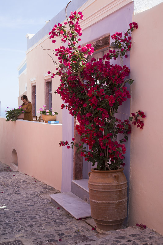 Marcos Rooms, Oia