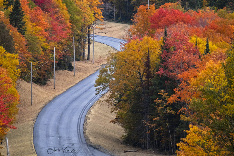 Highway 11, Maine