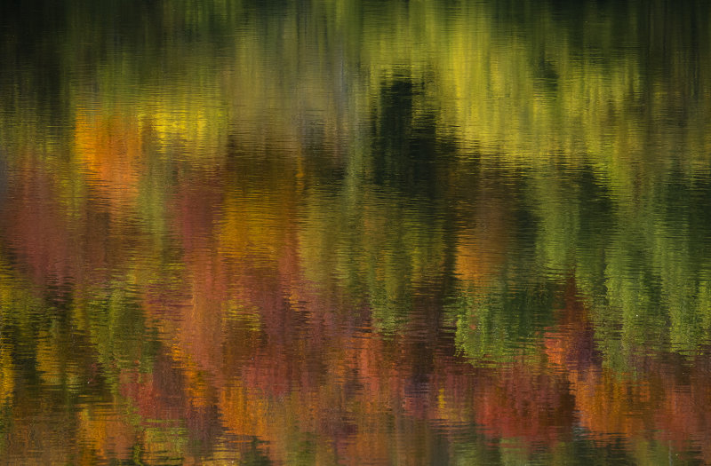 Fall reflection