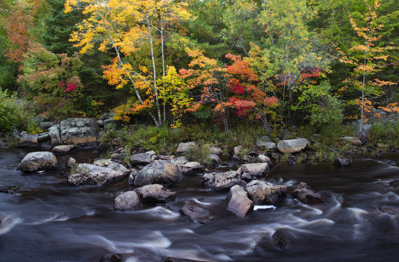 Maine creek