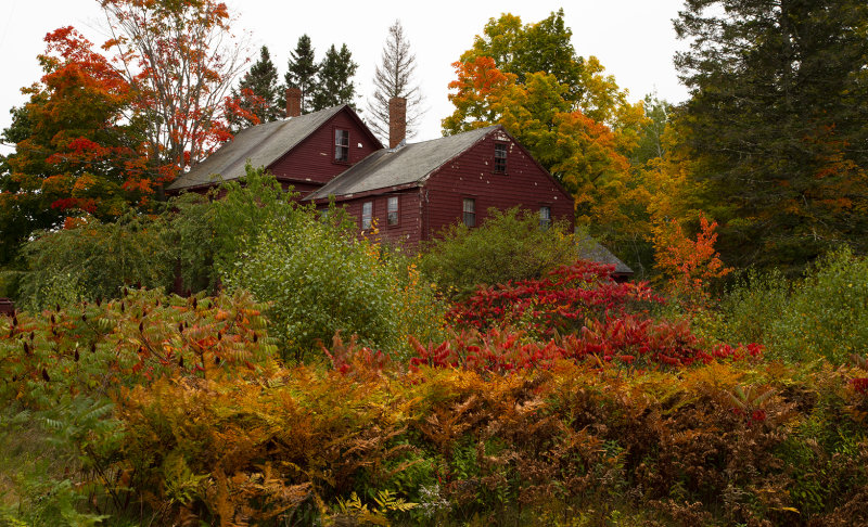 Surrounded by colors, Maine