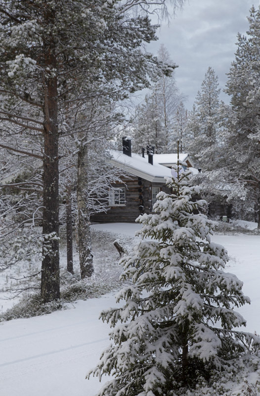 The log cabin, Ylläsjärvi