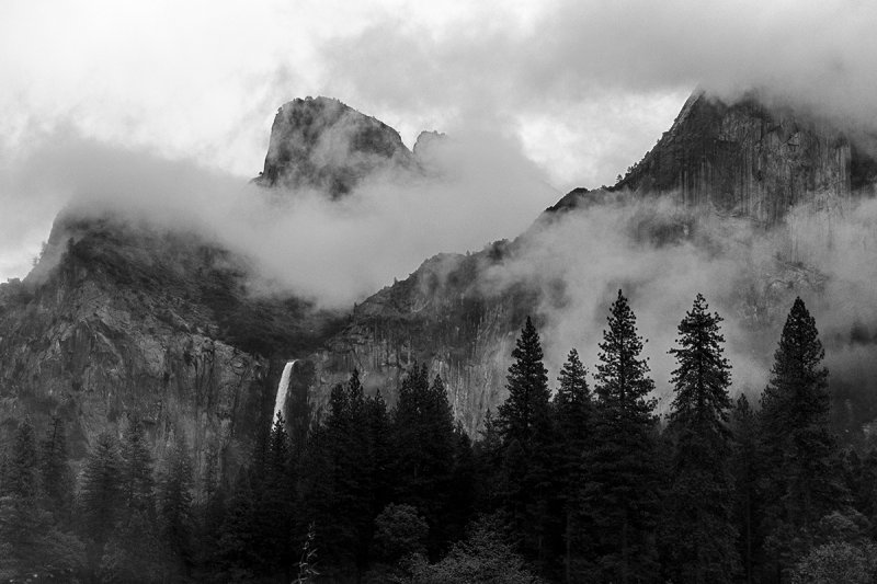 Yosemite fog