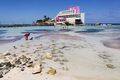 Mia Reef, Isla Mujeres