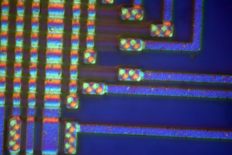 100x DIC microcontoller 1.jpg
