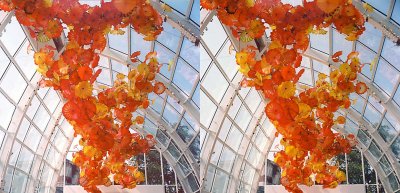 Chihuly 3 stereo.jpg