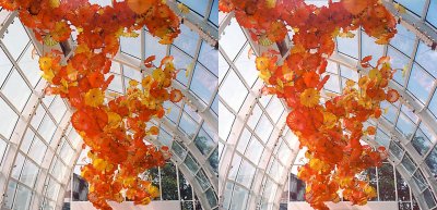 Chihuly 3 stereo parallel.jpg