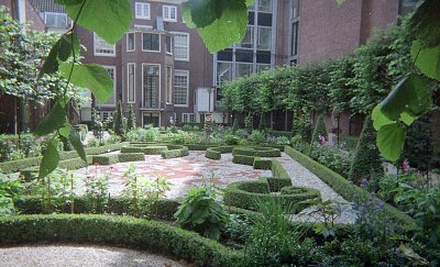 Amsterdam garden.jpg