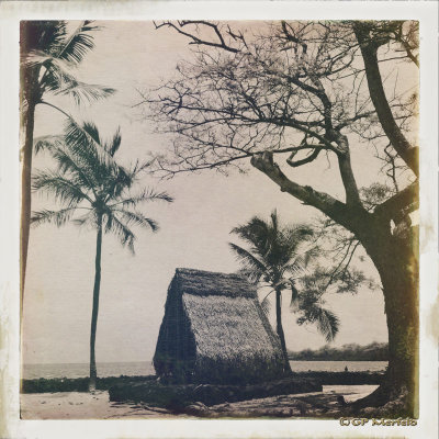 Pu'uhonua Hale