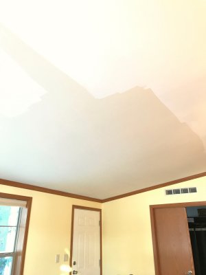 During Ceiling Paint