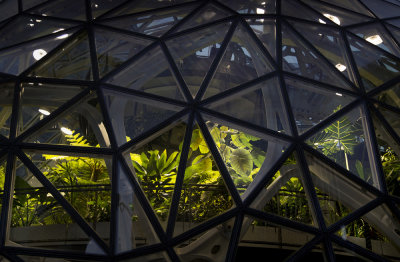 Seattle's Giant Terrarium