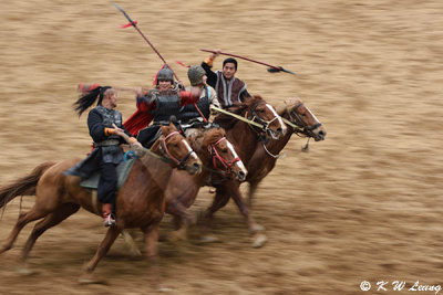 Horse battle show DSC_4296