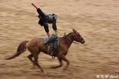 Horse battle show DSC_4134