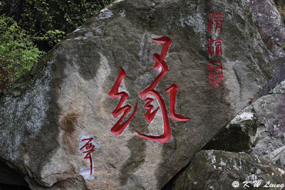 Qingliang Zhao DSC_4392
