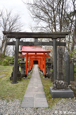Torii gates of Yojiro Inari Shrine DSC_6426