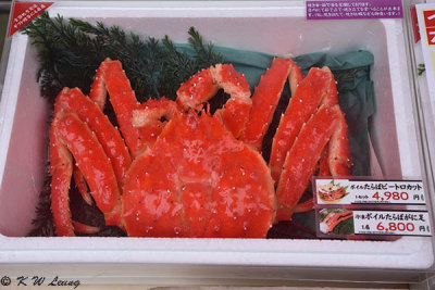 Crab @ Hakodate morning market DSC_6561