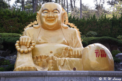 Golden Buddha DSC_5364