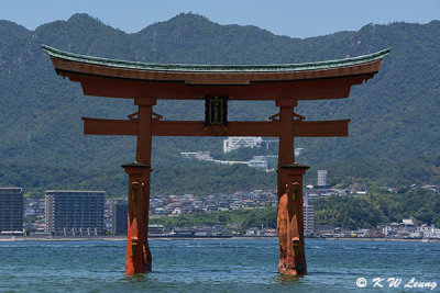 Floating Torii Gate of Itsukushima Shrine DSC_7823