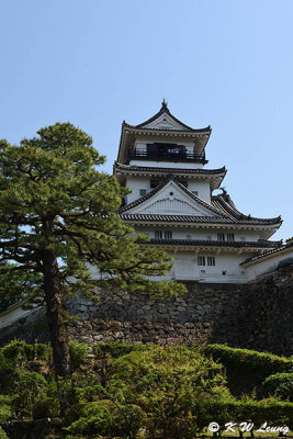 Kochi Castle DSC_8133