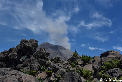 Arimura Lava Lookout DSC_7641