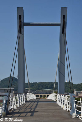 Blue Wing Moji Bridge DSC_9351