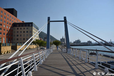 Blue Wing Moji Bridge DSC_9346