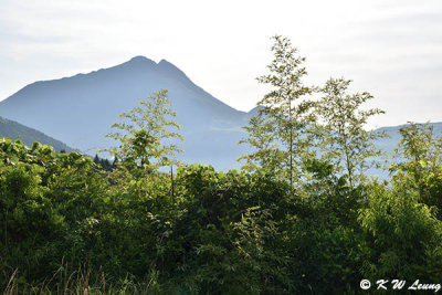 Mount Yufu DSC_9111