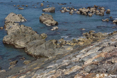 Rocks @ Katsurahama Beach DSC_8149