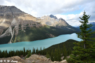 Peyto Lake DSC_2502