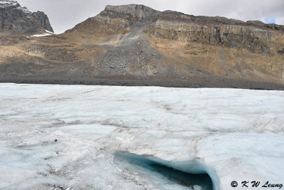 Columbia Icefield Glacier DSC_2605